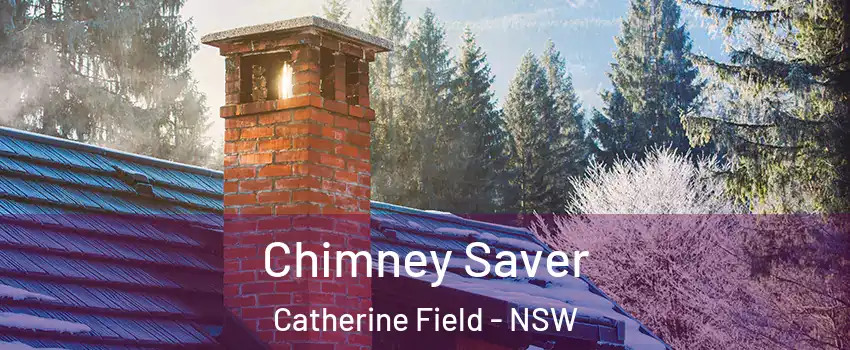 Chimney Saver Catherine Field - NSW