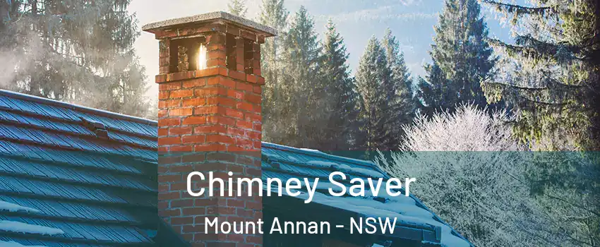 Chimney Saver Mount Annan - NSW