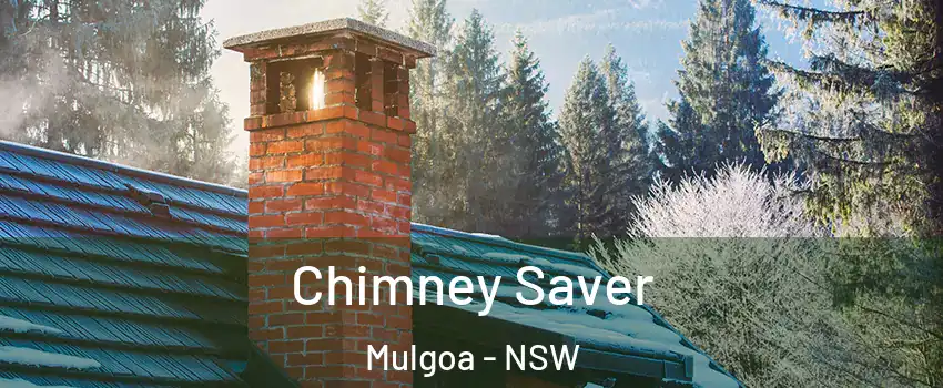 Chimney Saver Mulgoa - NSW