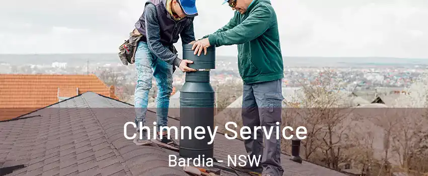 Chimney Service Bardia - NSW