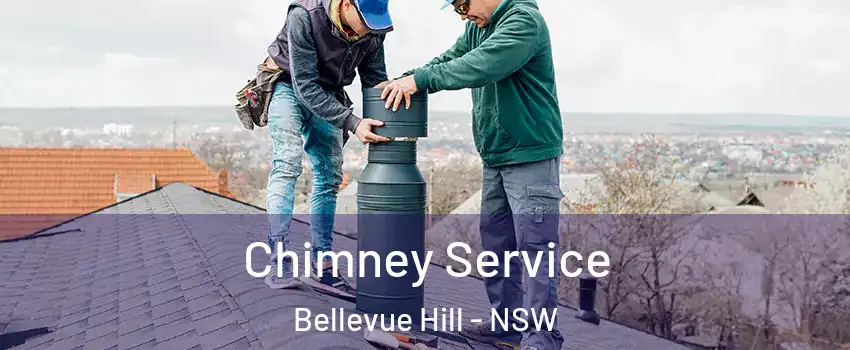 Chimney Service Bellevue Hill - NSW