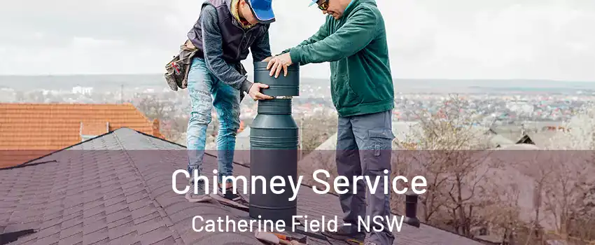 Chimney Service Catherine Field - NSW