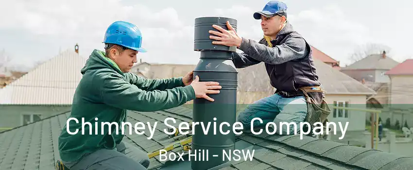 Chimney Service Company Box Hill - NSW