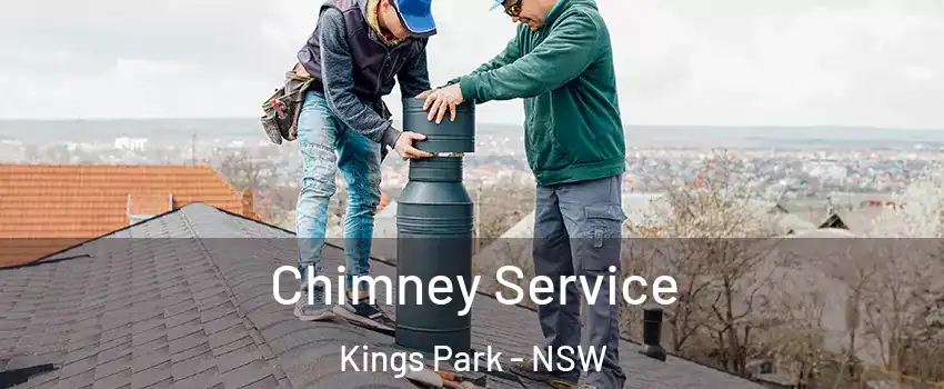 Chimney Service Kings Park - NSW