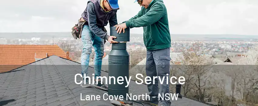 Chimney Service Lane Cove North - NSW