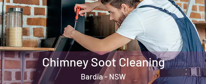 Chimney Soot Cleaning Bardia - NSW