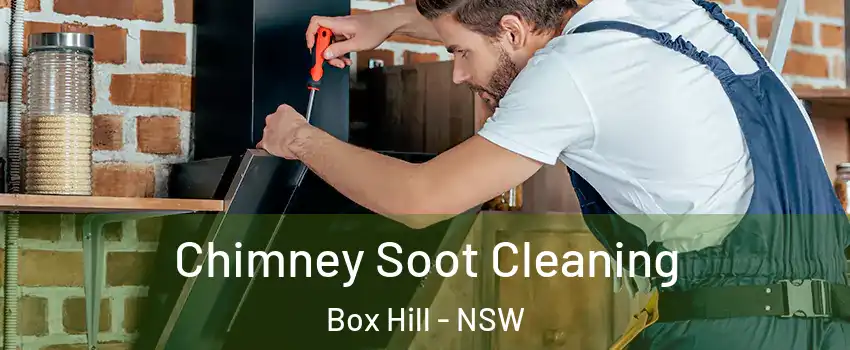 Chimney Soot Cleaning Box Hill - NSW