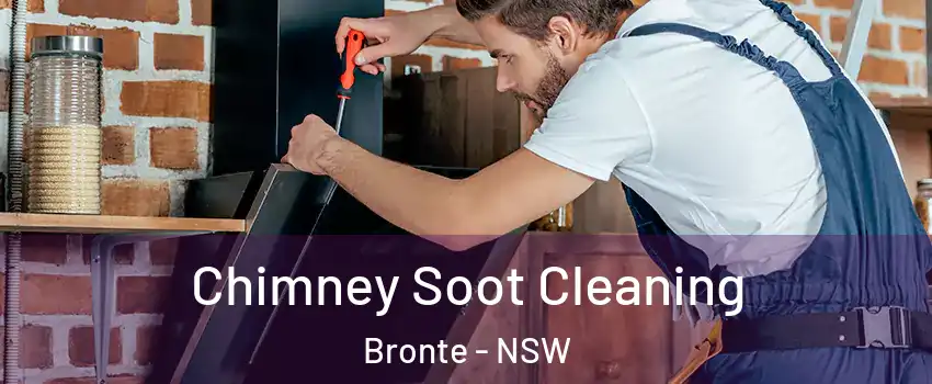 Chimney Soot Cleaning Bronte - NSW