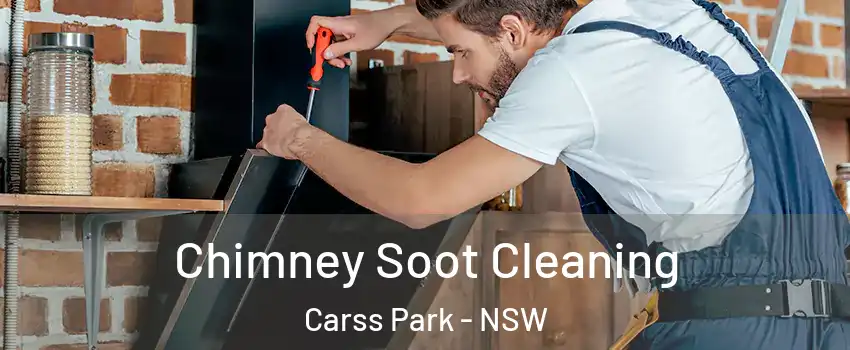 Chimney Soot Cleaning Carss Park - NSW