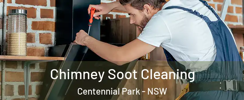 Chimney Soot Cleaning Centennial Park - NSW