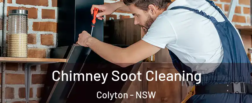 Chimney Soot Cleaning Colyton - NSW