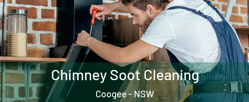 Chimney Soot Cleaning Coogee - NSW