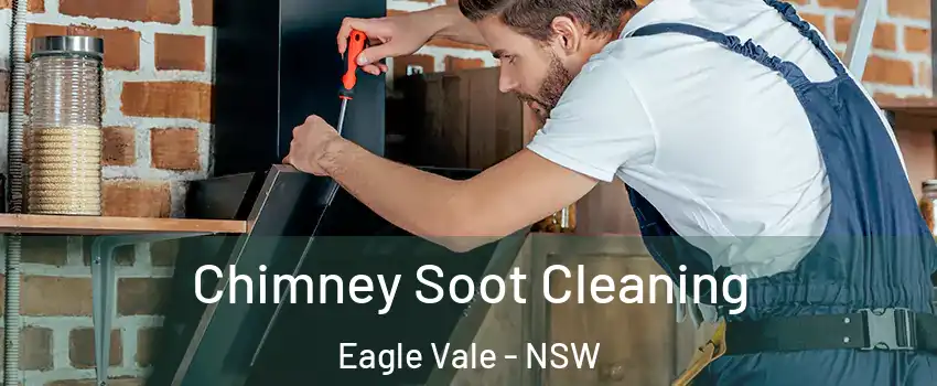 Chimney Soot Cleaning Eagle Vale - NSW