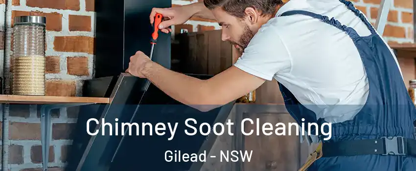 Chimney Soot Cleaning Gilead - NSW