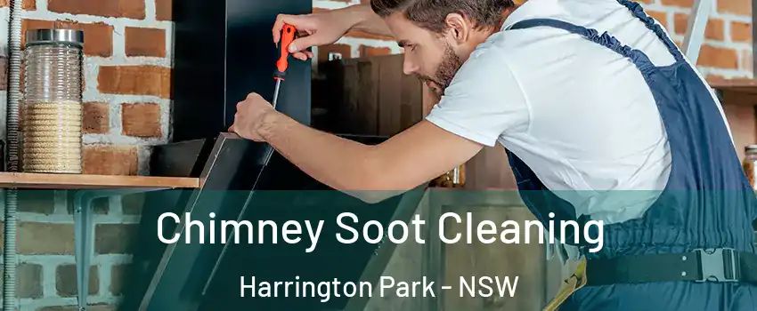 Chimney Soot Cleaning Harrington Park - NSW