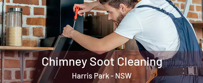 Chimney Soot Cleaning Harris Park - NSW