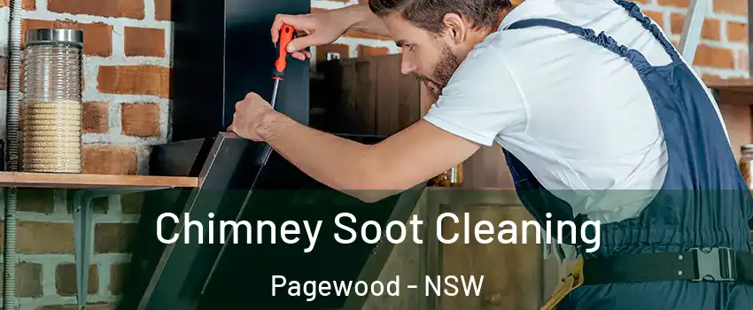 Chimney Soot Cleaning Pagewood - NSW