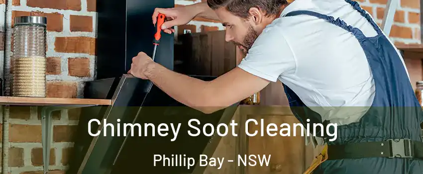 Chimney Soot Cleaning Phillip Bay - NSW