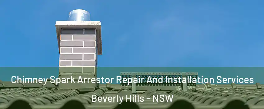 Chimney Spark Arrestor Repair And Installation Services Beverly Hills - NSW