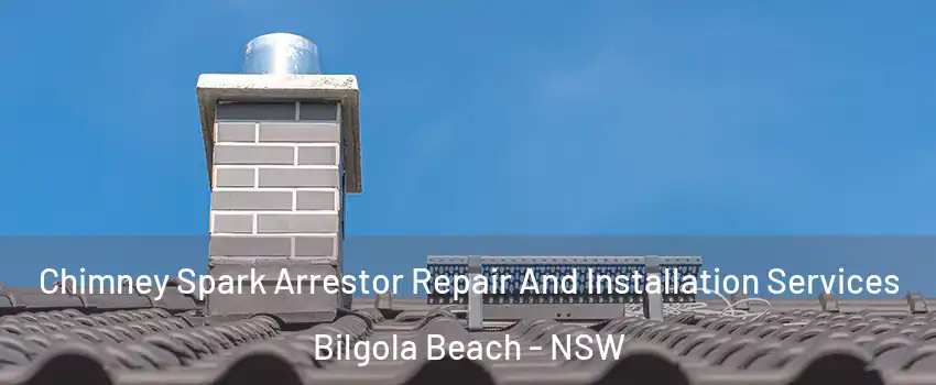 Chimney Spark Arrestor Repair And Installation Services Bilgola Beach - NSW