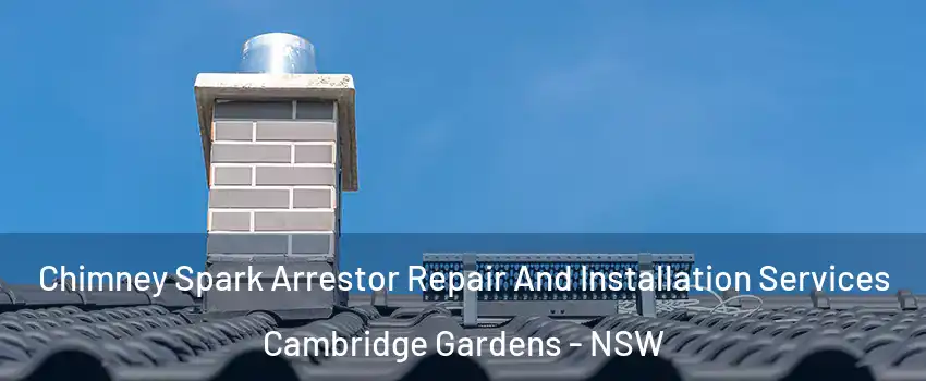 Chimney Spark Arrestor Repair And Installation Services Cambridge Gardens - NSW