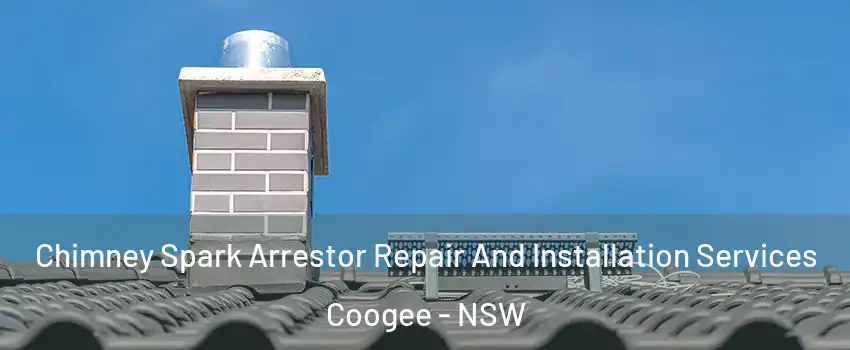 Chimney Spark Arrestor Repair And Installation Services Coogee - NSW