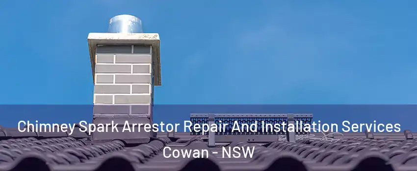 Chimney Spark Arrestor Repair And Installation Services Cowan - NSW