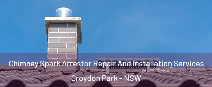 Chimney Spark Arrestor Repair And Installation Services Croydon Park - NSW