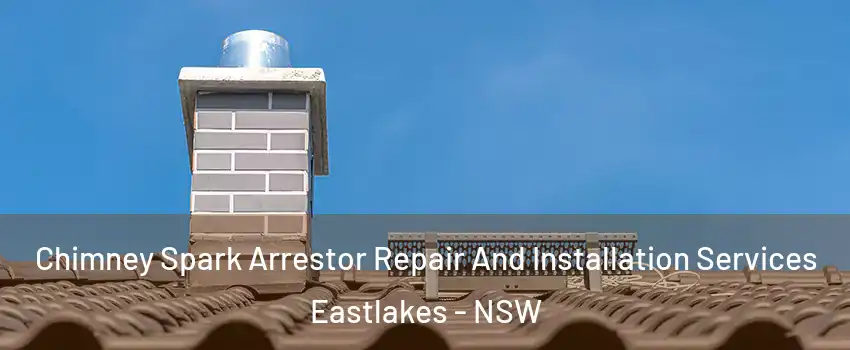 Chimney Spark Arrestor Repair And Installation Services Eastlakes - NSW