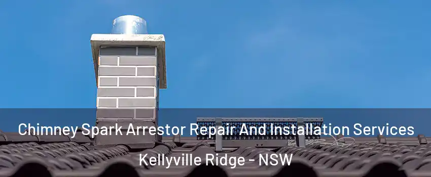 Chimney Spark Arrestor Repair And Installation Services Kellyville Ridge - NSW