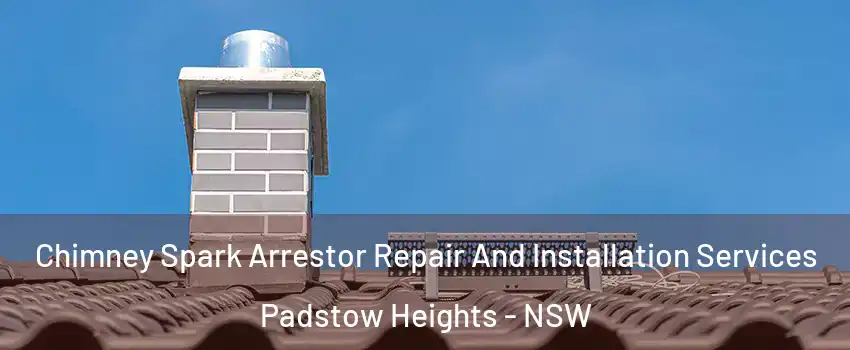 Chimney Spark Arrestor Repair And Installation Services Padstow Heights - NSW