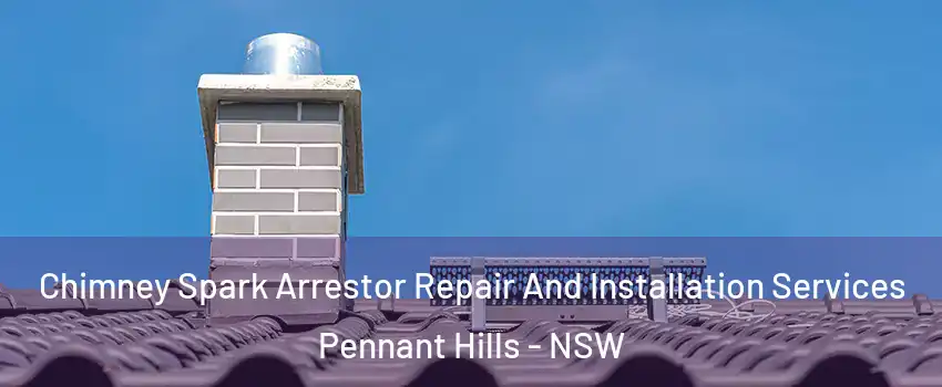 Chimney Spark Arrestor Repair And Installation Services Pennant Hills - NSW