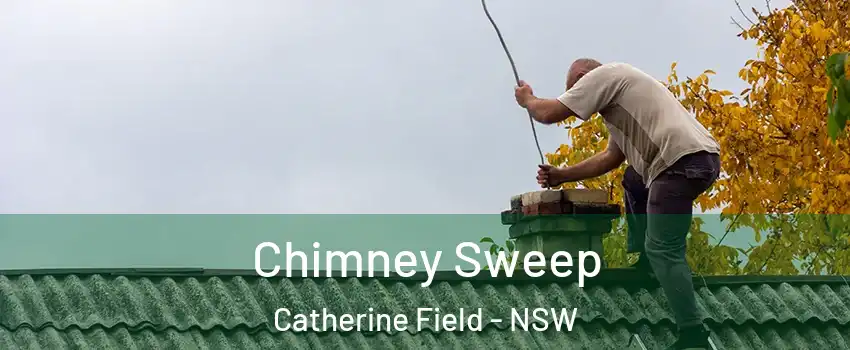 Chimney Sweep Catherine Field - NSW
