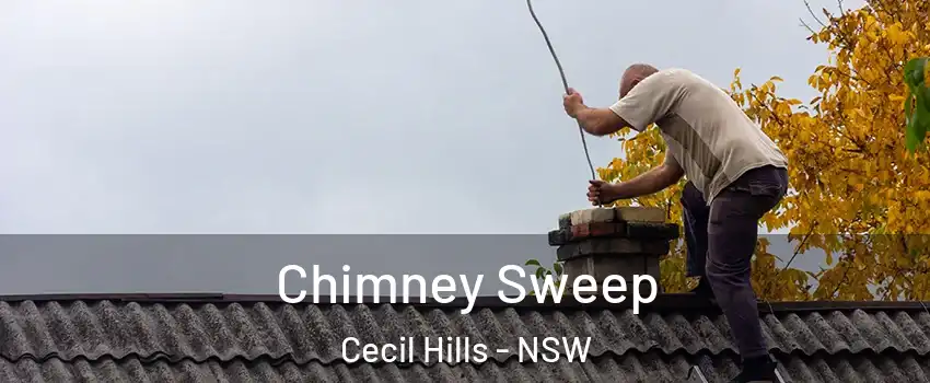 Chimney Sweep Cecil Hills - NSW