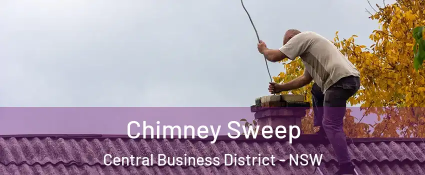 Chimney Sweep Central Business District - NSW