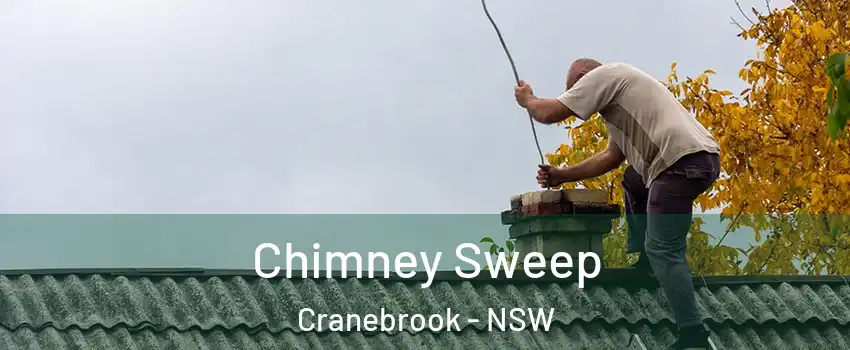 Chimney Sweep Cranebrook - NSW