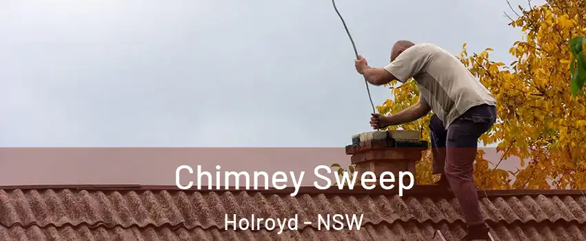 Chimney Sweep Holroyd - NSW