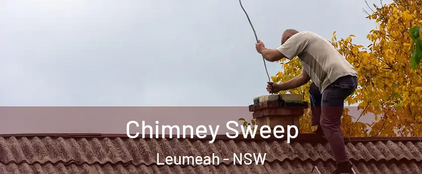 Chimney Sweep Leumeah - NSW
