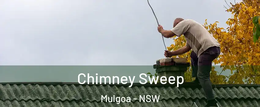 Chimney Sweep Mulgoa - NSW