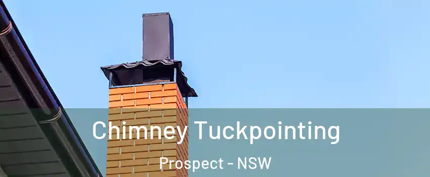 Chimney Tuckpointing Prospect - NSW