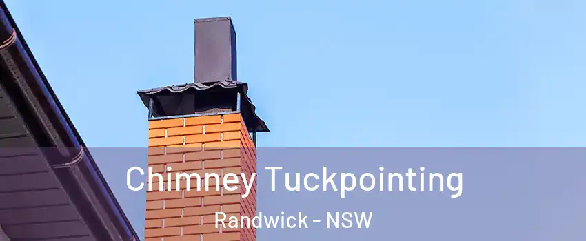 Chimney Tuckpointing Randwick - NSW