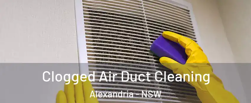 Clogged Air Duct Cleaning Alexandria - NSW