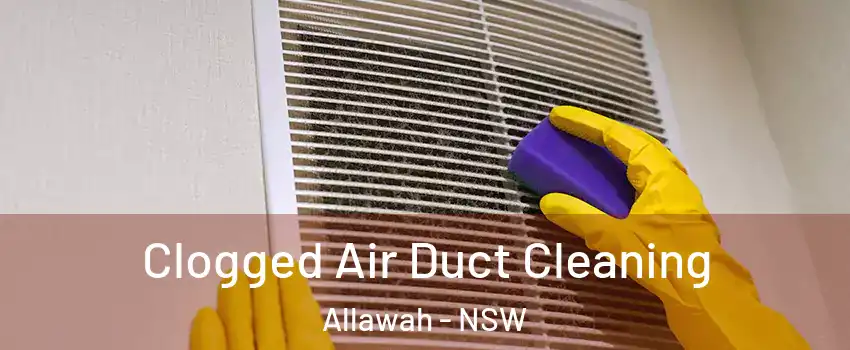 Clogged Air Duct Cleaning Allawah - NSW