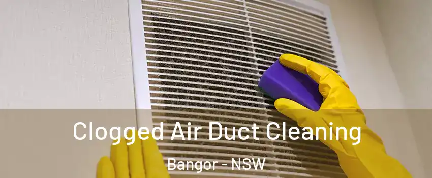 Clogged Air Duct Cleaning Bangor - NSW