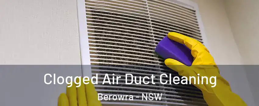 Clogged Air Duct Cleaning Berowra - NSW