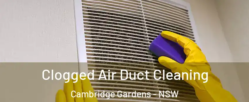 Clogged Air Duct Cleaning Cambridge Gardens - NSW