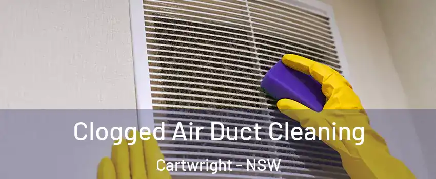 Clogged Air Duct Cleaning Cartwright - NSW