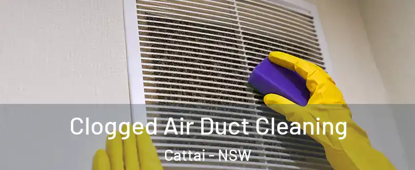 Clogged Air Duct Cleaning Cattai - NSW