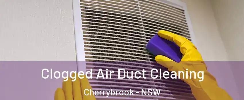 Clogged Air Duct Cleaning Cherrybrook - NSW