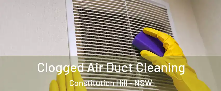 Clogged Air Duct Cleaning Constitution Hill - NSW